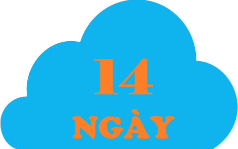 icon cloud 14n
